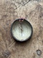 IMG_2056.jpeg