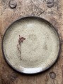IMG_2052.jpeg