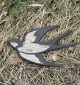IMG_4415.jpeg