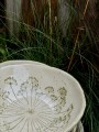 IMG_7878.jpg
