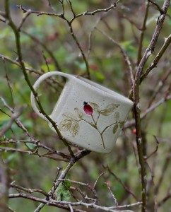 Duży kubek - dzika róża 